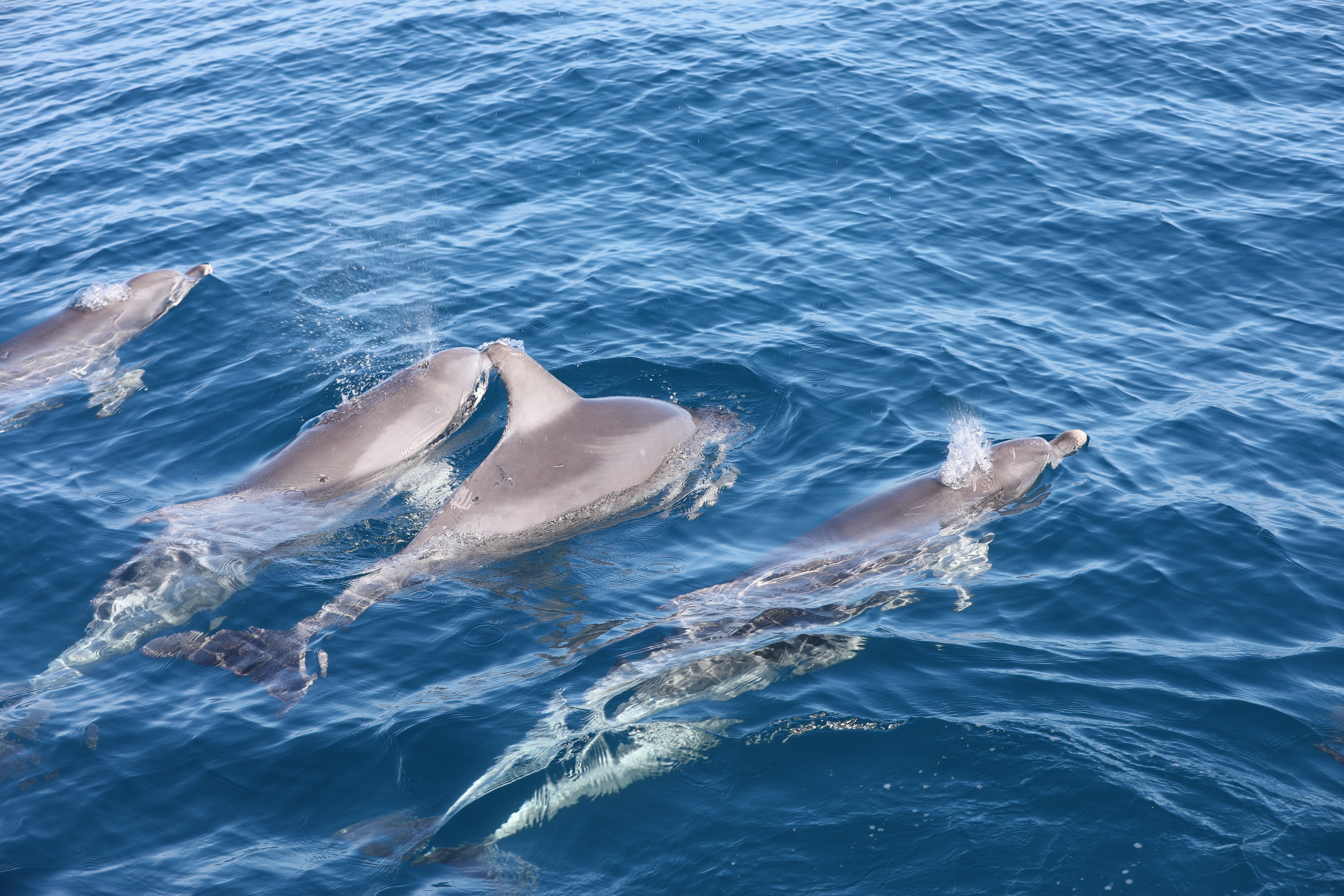 2019 12 07 09 35 52 Canon EOS 5D Mark IV 0019